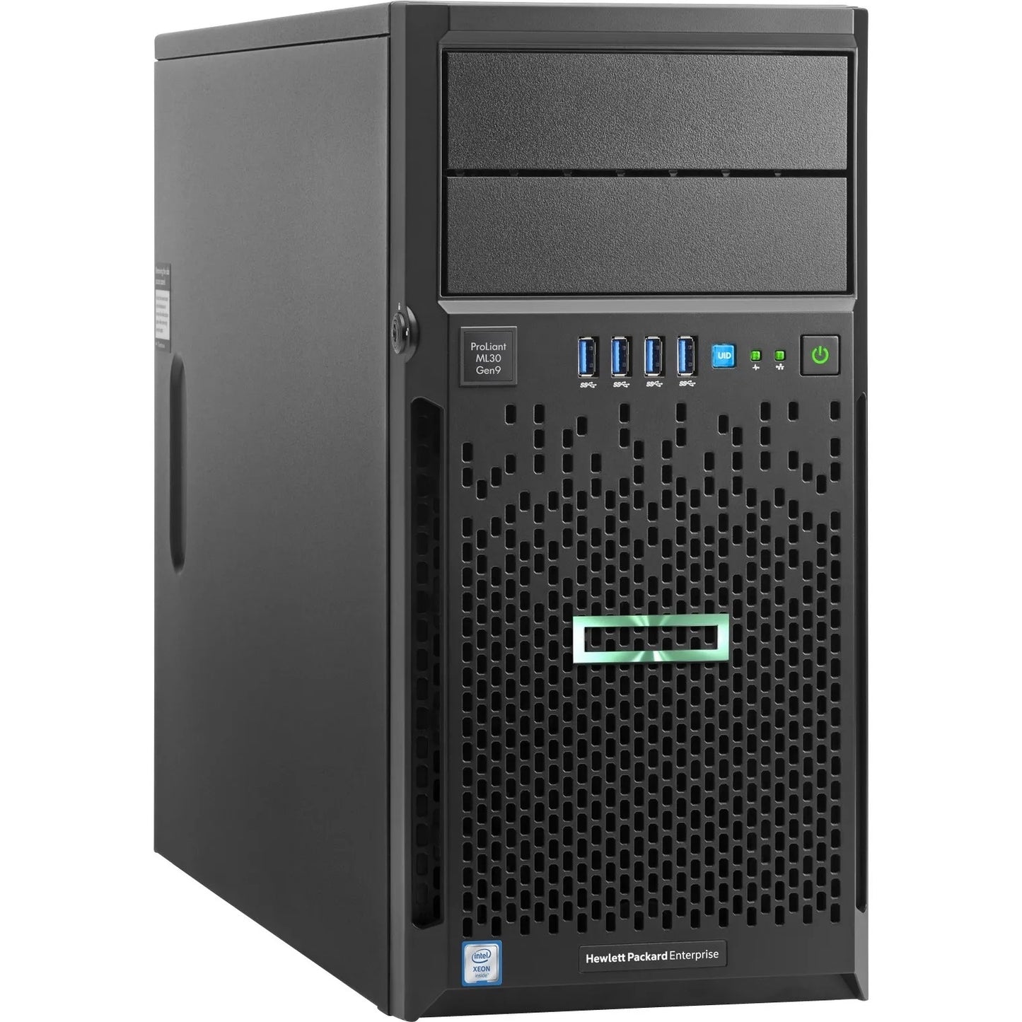 Server Ref Ml30 E3 1225 V5 32G 2X1 2Tb 2 5 Sas Tower G9 8Sff - Visualizzazione dettagliata