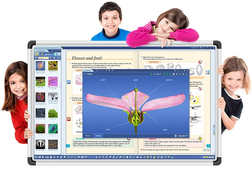 Sw Mozaik Teacher Multilang 1Y - Visualizzazione dettagliata