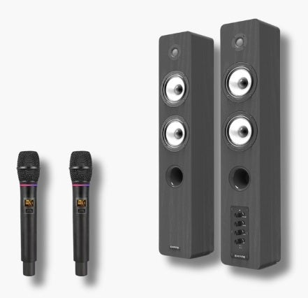 Sistema 2 0 Con Radiomicrofono Pro Edge 2 Mic - Visualizzazione dettagliata