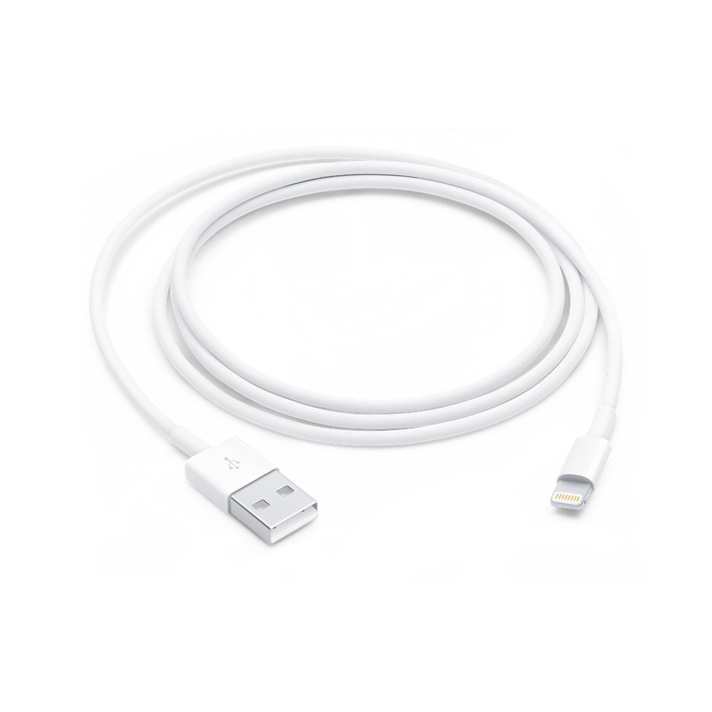 Cavo Apple Usb Lightning 1 Metro - Visualizzazione dettagliata