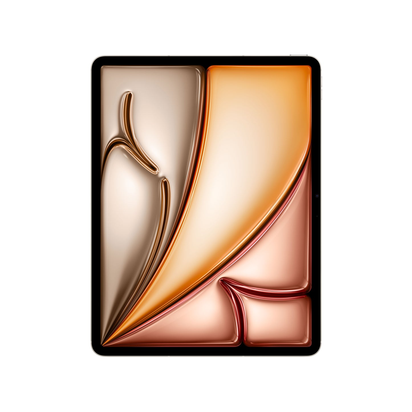Tablet Ipad Air 13128Gb M2 Cell Ga Lassia 2024 - Visualizzazione dettagliata