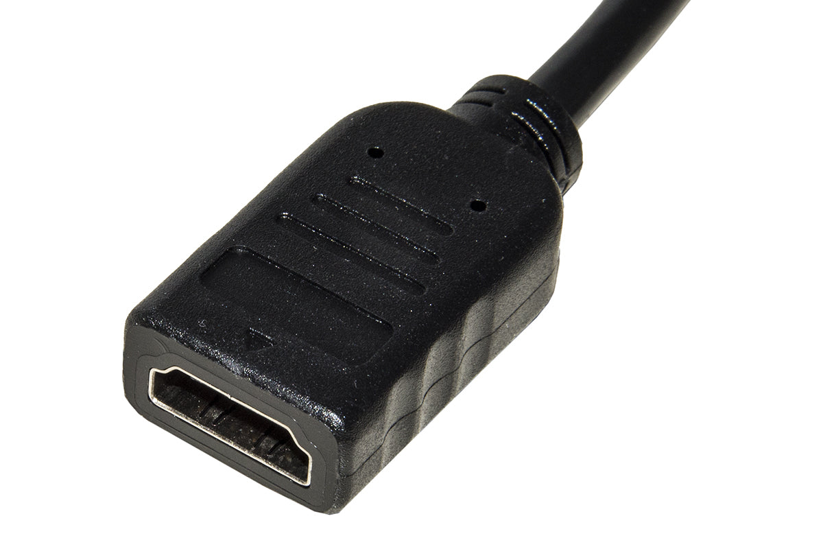 Adattatore Dp Hdmi M F Con Cavo Displayport A Hdmi - Visualizzazione dettagliata