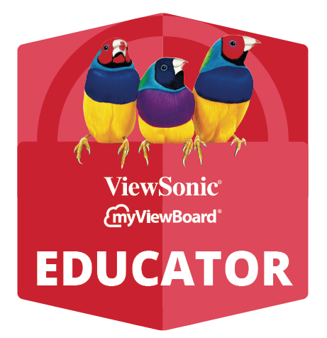 Myviewboard Online Training 30Min Vcast Wireless Presentation - Visualizzazione dettagliata