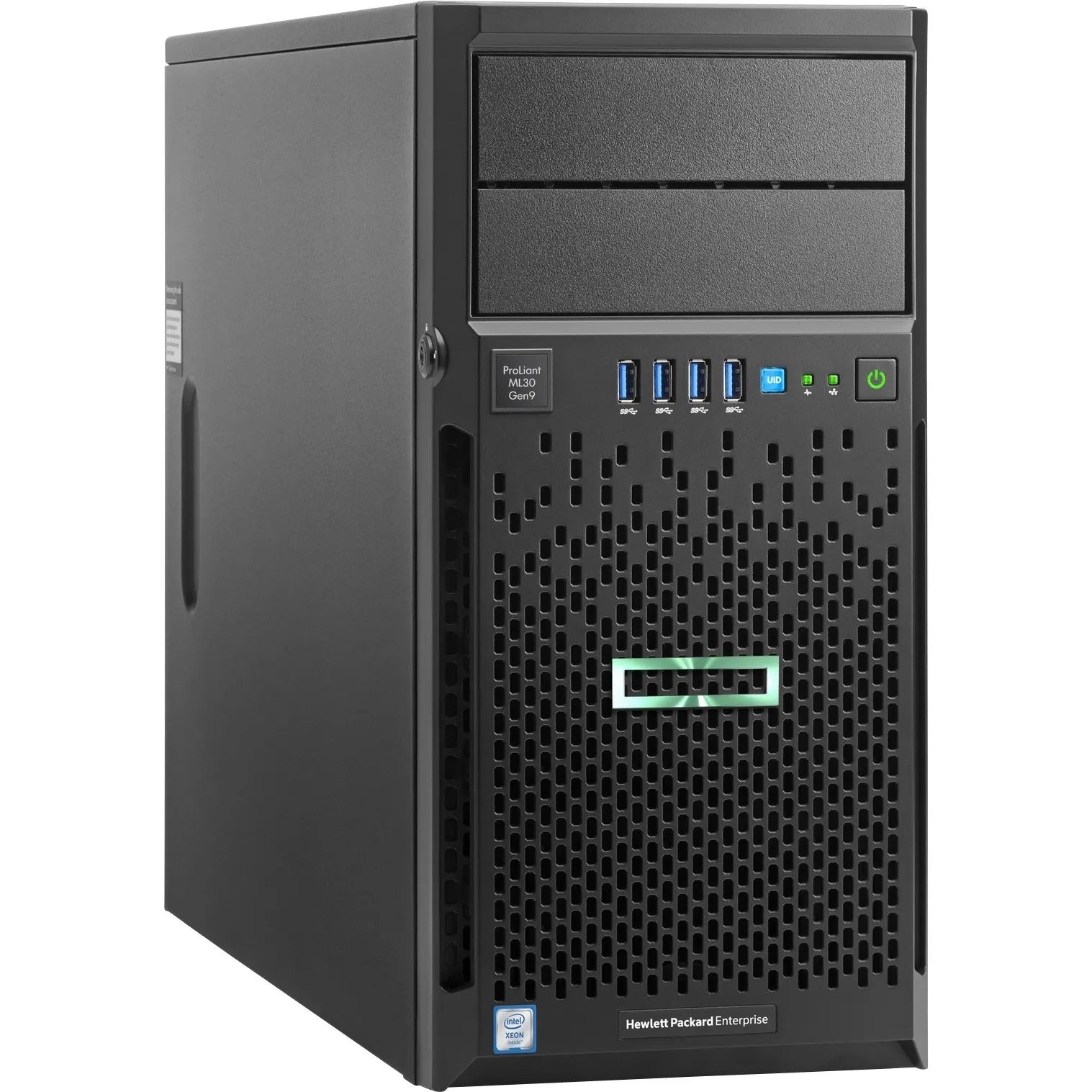Server Ref Ml30 E3 1225 V5 32G 2X1 2Tb 2 5 Sas Tower G9 8Sff - Visualizzazione dettagliata