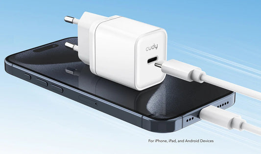 Carica Batteria Usb C 25W Qc Pd3 0 X Iphone Da 12 Galaxy Ipad Macbair - Visualizzazione dettagliata