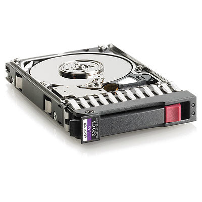 Hd 2 5 Hpe 300Gb Sas 10K Dpe - Visualizzazione dettagliata