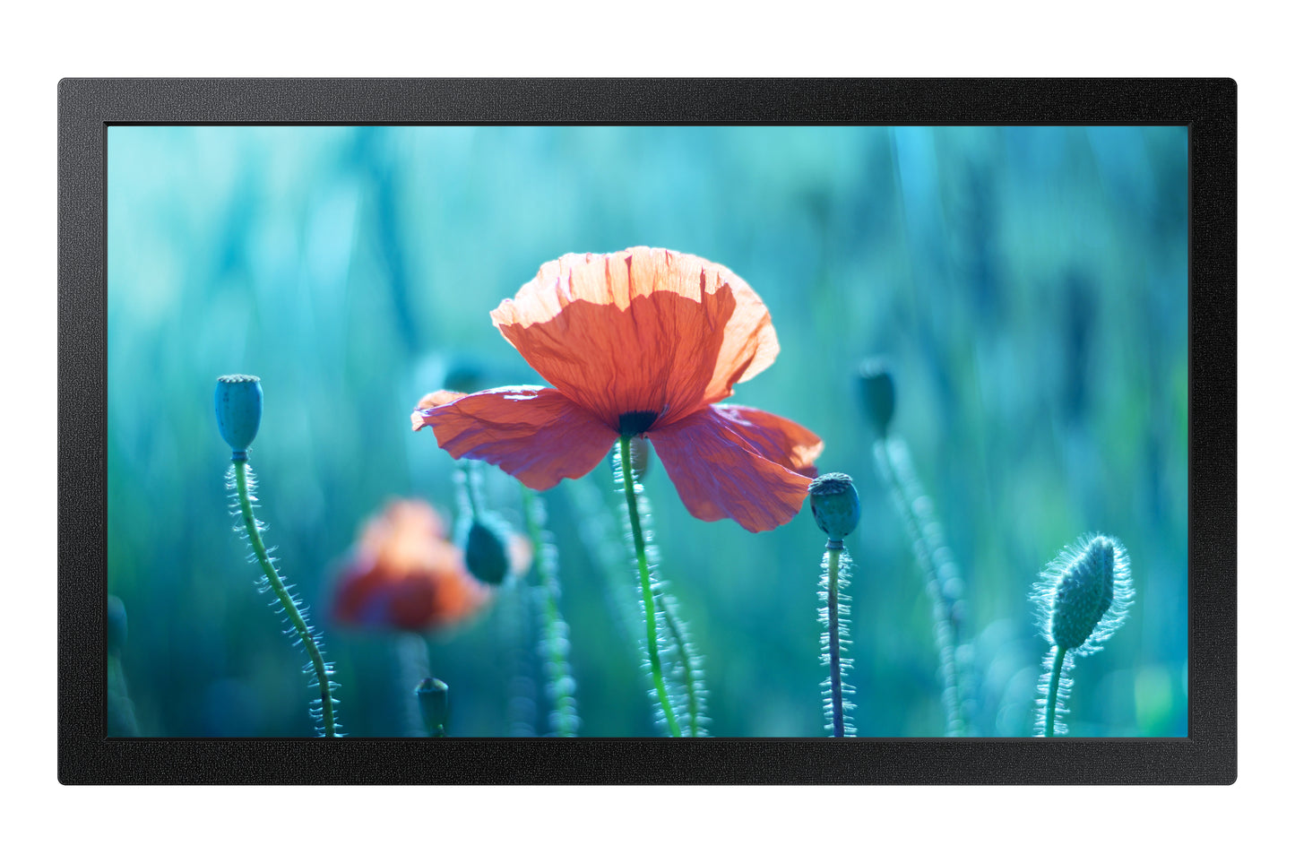 Mon 13Ads Lfd Wifi Soc Hdmi Lan Qbr M Usb Lan - Visualizzazione dettagliata