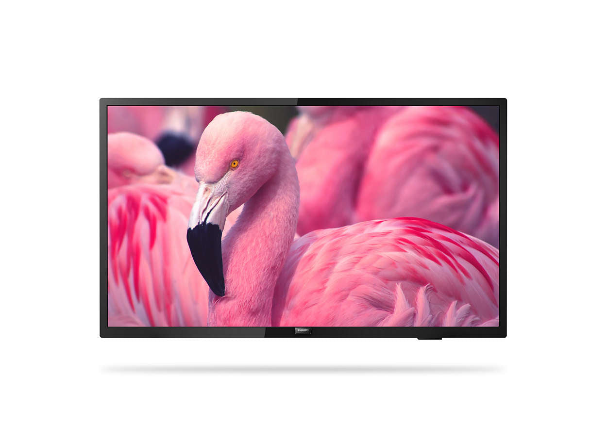 Tv Hotel 43 Phi Edge Led Hd Hdmix3 Usb Htv Easysuite Cmnd Contr - Visualizzazione dettagliata