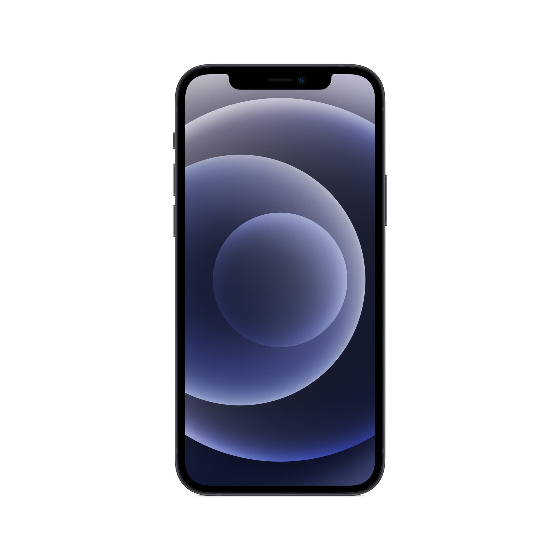 Iphone 12 256Gb Ricond Black Grado A Garanzia 1Y 3 Mesi Batt - Visualizzazione dettagliata