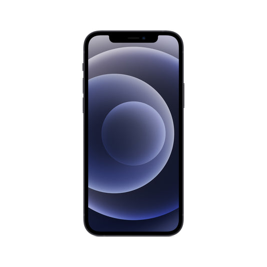 Iphone 12 256Gb Ricond Black Grado A Garanzia 1Y 3 Mesi Batt - Visualizzazione dettagliata