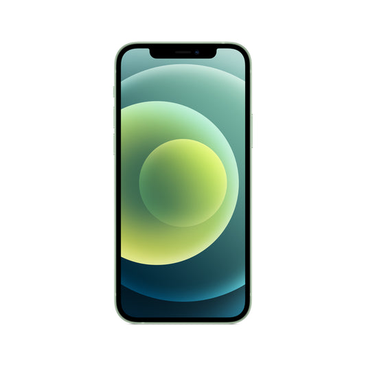 Iphone 12 256Gb Ricond Green Grado A Garanzia 1Y 3 Mesi Batt - Visualizzazione dettagliata