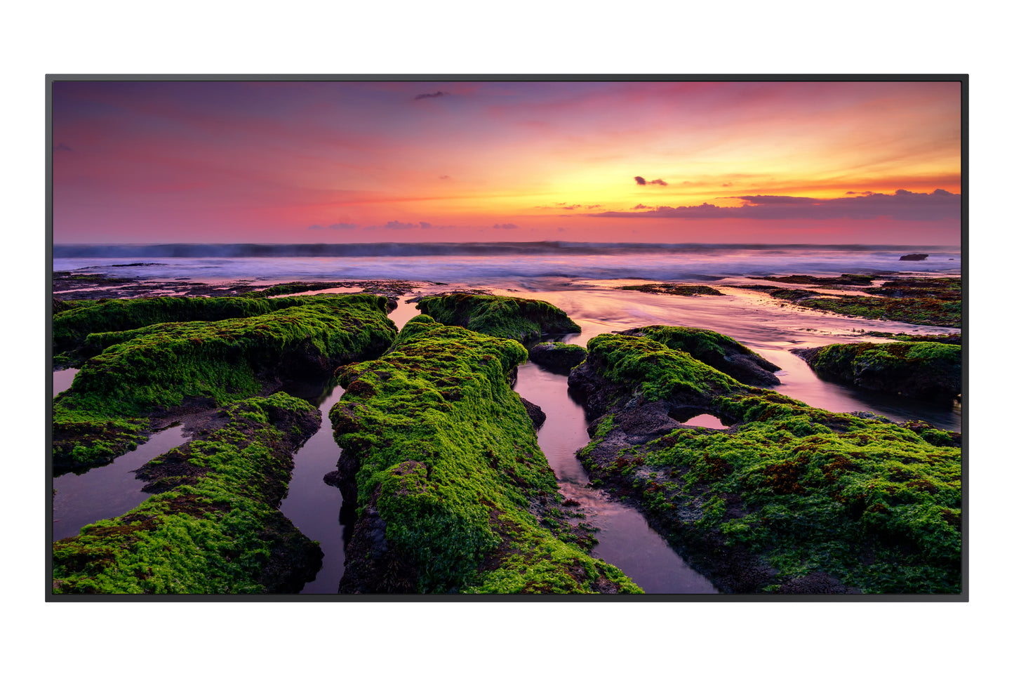 Mon 55Ds Ips 4K 350Nit 4000 1 Hdmi Qb55B Lan Dp Wifi - Visualizzazione dettagliata
